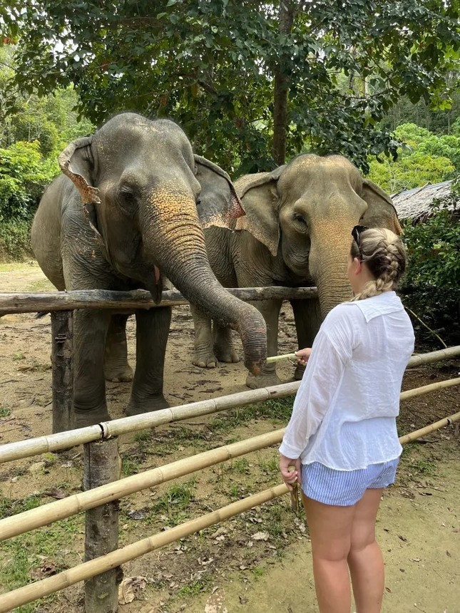 Lauren trải nghiệm cho voi ăn. Lauren trải nghiệm cho voi ăn.