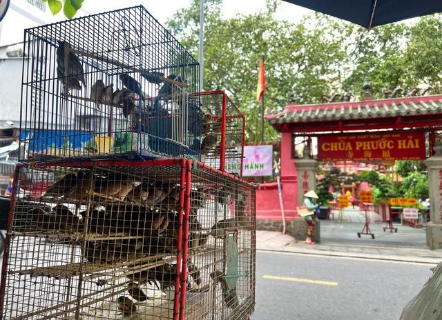 Vào các dịp rằm lớn của Phật giáo, người bán cá, chim phóng sinh lại tấp nập Vào các dịp rằm lớn của Phật giáo, người bán cá, chim phóng sinh lại tấp nập