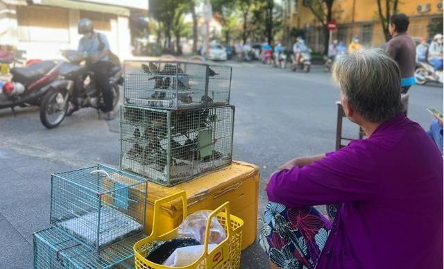 Những người xuất gia rất tán thán công đức phóng sinh của người dân, nhưng cần biết mở tâm yêu thương đúng cách Những người xuất gia rất tán thán công đức phóng sinh của người dân, nhưng cần biết mở tâm yêu thương đúng cách
