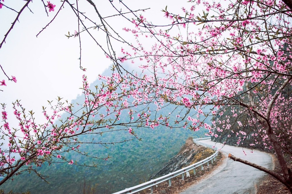 Cùng vẻ đẹp của hoa, Hà Giang còn là điểm đến độc đáo để du khách khám phá di sản văn hóa phong phú của các dân tộc thiểu số tại địa phương Cùng vẻ đẹp của hoa, Hà Giang còn là điểm đến độc đáo để du khách khám phá di sản văn hóa phong phú của các dân tộc thiểu số tại địa phương
