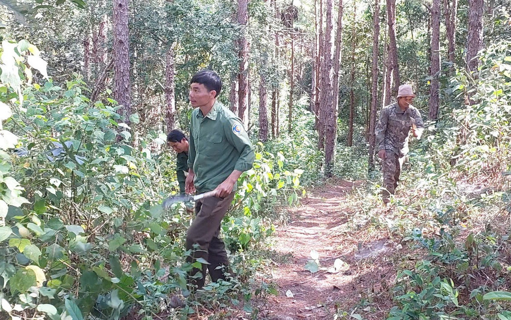 Người dân nhận khoán bảo vệ rừng (thuộc Ban Quản lý rừng phòng hộ Đông Bắc Chư Păh) phát dọn thực bì phòng-chống cháy rừng. Ảnh: N.D 1-3461.jpg