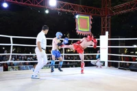 Hấp dẫn “Đêm Võ đài Bình Định - Mừng Xuân Bính Ngọ 2026”