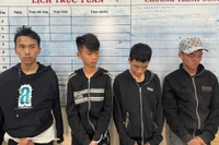 Gia Lai: Làm rõ nhóm thiếu niên trộm 12 xe máy, xe điện
