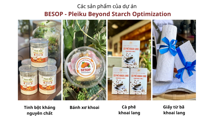 cac-san-pham-cua-du-an-besop-pleiku-beyond-starch-optimization.png