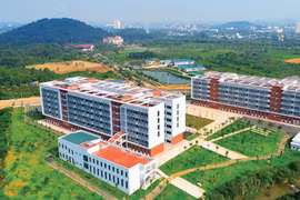 Bộ GD-ĐT quản lý 2 Đại học Quốc gia Hà Nội và TP HCM từ 1-9