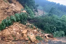 Đêm 12, rạng sáng 13/7, Tuyên Quang và Phú Thọ đề phòng lũ quét, sạt lở đất