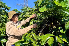 Chi hội trưởng nông dân Nguyễn Văn Lâm: Gương mẫu, làm kinh tế giỏi