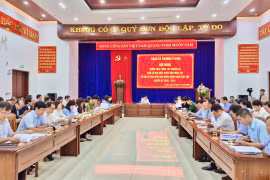 Phường Pleiku triển khai công tác chuẩn bị bầu cử đại biểu Quốc hội khóa XVI và HĐND các cấp nhiệm kỳ 2026-2031.