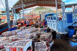 Ngư dân Đề Gi đoàn kết giữ vững chủ quyền biển, đảo