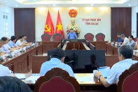 Đồng chí Phó Chủ tịch UBND tỉnh Nguyễn Tự Công Hoàng phát biểu chỉ đạo tại buổi làm việc.