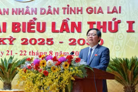 Đại hội Đảng bộ UBND tỉnh Gia Lai lần thứ I: Khẳng định vai trò hạt nhân lãnh đạo trong giai đoạn mới
