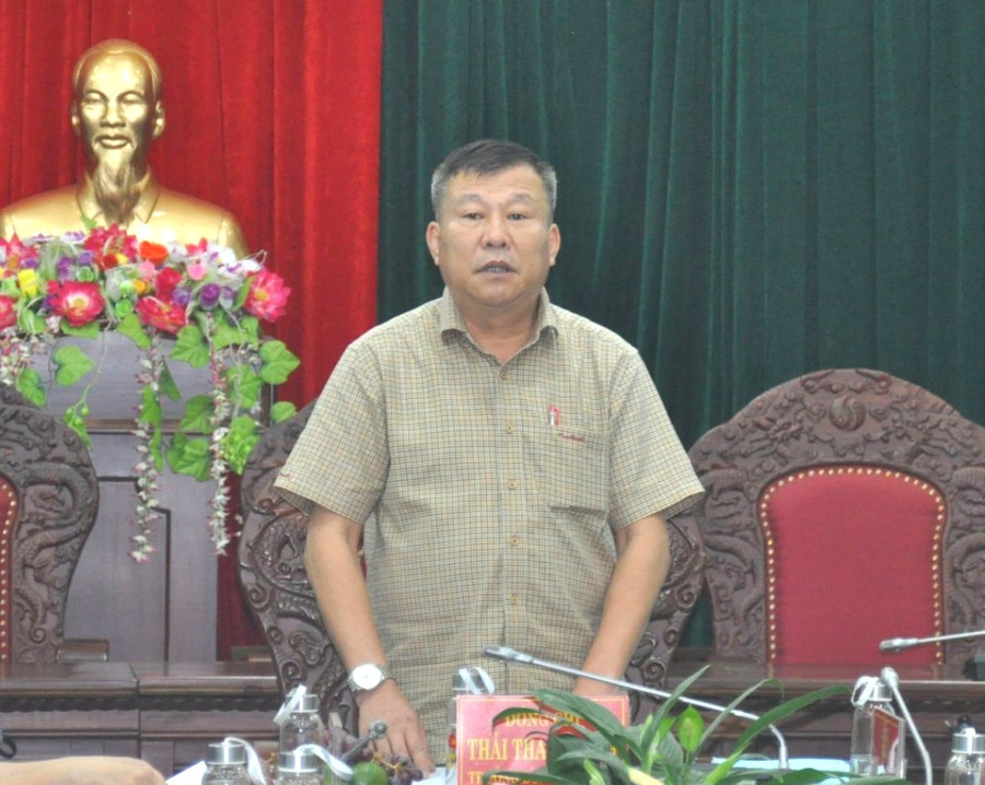 Chủ nhiệm Ủy ban Kiểm tra Tỉnh ủy, Trưởng ban Pháp chế HĐND tỉnh Thái Thanh Bình phát biểu tại buổi giám sát. Ảnh: R.H
