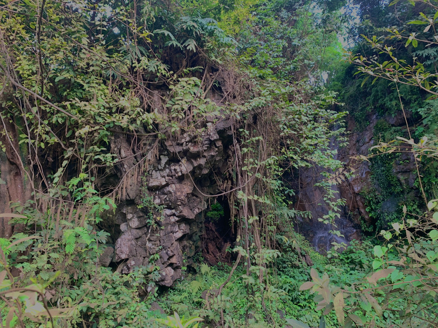 Xung quanh thác Grai Tor là các tảng đá nhiều hình thù cùng thảm thực vật chằng chịt tạo nên khung cảnh huyền bí.