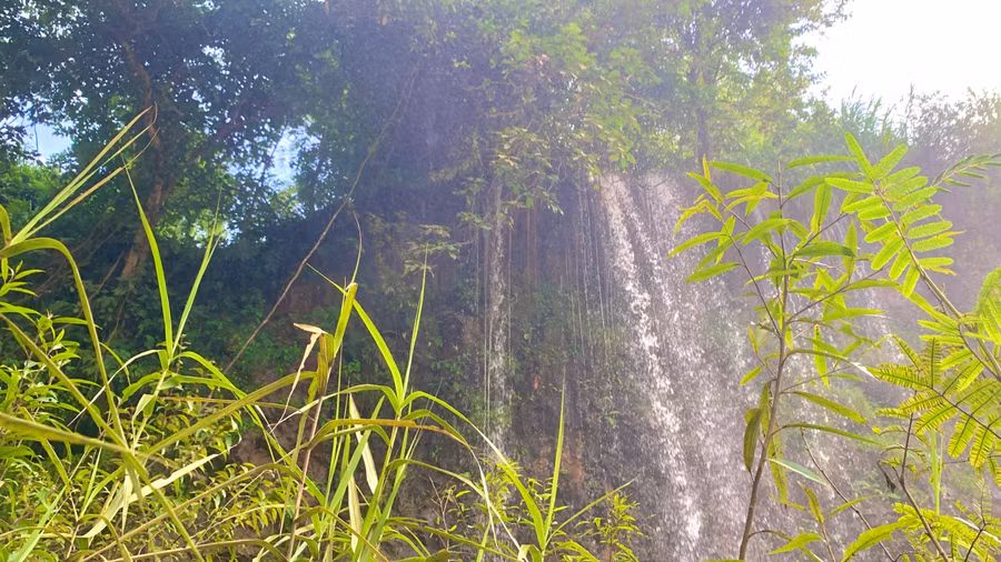 Các nhánh nước từ trên cao đổ xuống khu vực thác Grai Tor Các nhánh nước từ trên cao đổ xuống khu vực thác Grai Tor