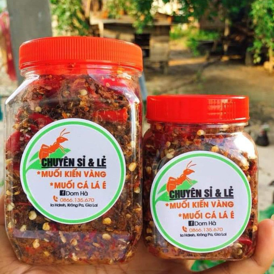 Muối kiến vàng của chị Ksor H’Djom. Ảnh: Dom Hà