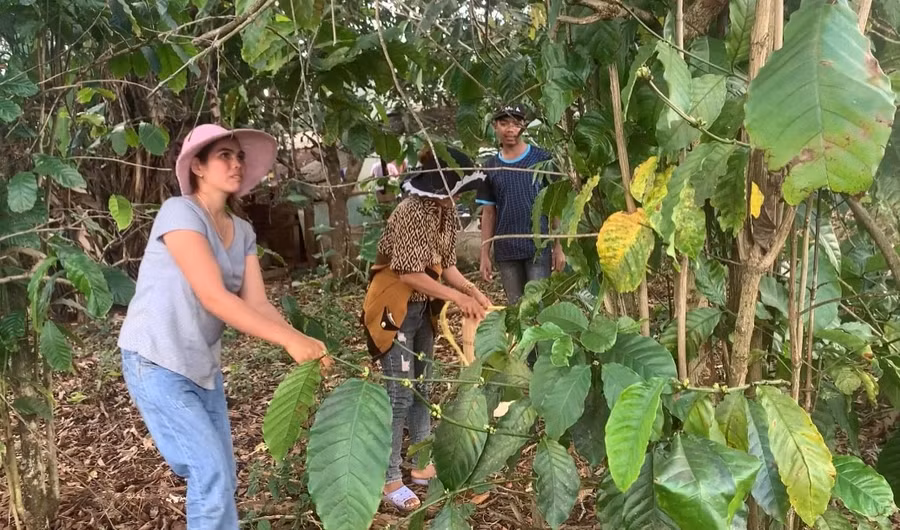 Chị Puih H’Roan (bìa trái) cùng nhóm bạn đi bắt kiến vàng. Ảnh: R'Ô HOK Chị Puih H’Roan (bìa trái) cùng nhóm bạn đi bắt kiến vàng. Ảnh: R'Ô HOK