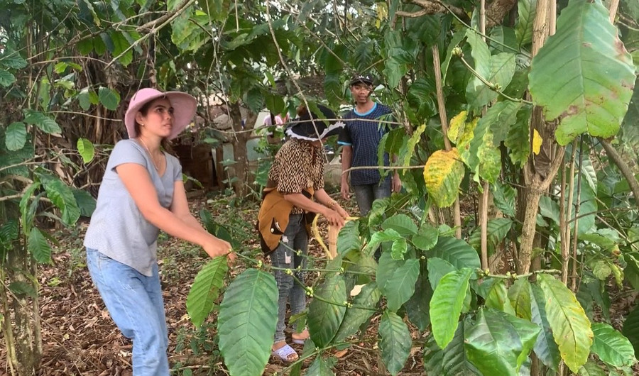 Chị Puih H’Roan (bìa trái) cùng nhóm bạn đi bắt kiến vàng. Ảnh: R'Ô HOK