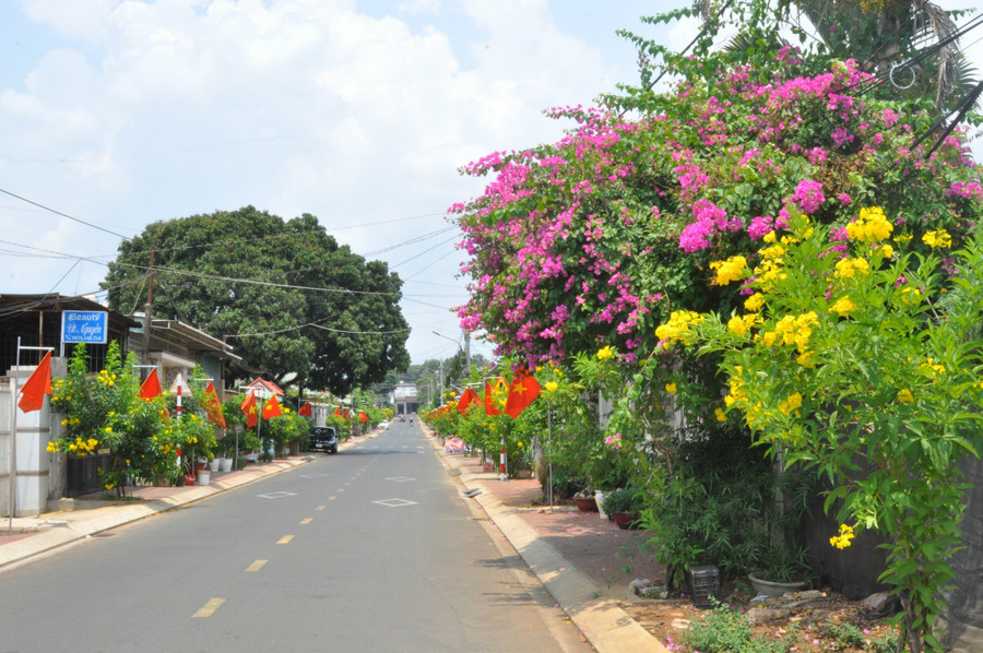 Hoa Huỳnh Liên (vàng) đang nở rộ, khiến tuyến đường Kim Đồng (phường Đống Đa) thêm phần rực rỡ. Ảnh: R&apos;Ô HOK