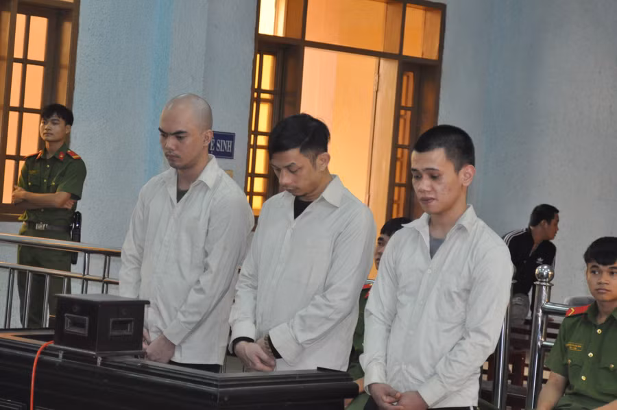 Các bị cáo Nguyễn Tất Vũ, Trần Hữu Trọng và Lê Phương Nam (từ trái qua). Ảnh: R'Ô HOK