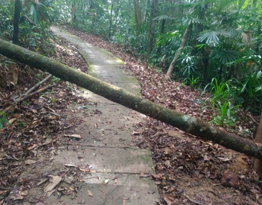 Khu vực dốc Suối Cát nơi xảy ra vụ tai nạn khiến bà T. tử vong.