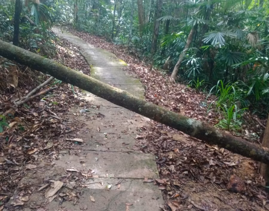 Khu vực dốc Suối Cát nơi xảy ra vụ tai nạn khiến bà T. tử vong. Khu vực dốc Suối Cát nơi xảy ra vụ tai nạn khiến bà T. tử vong.