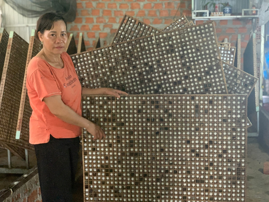 Sau khi trừ chi phí đầu tư, mỗi tháng gia đình bà Đàm Thị Thanh thu nhập hơn 40 triệu đồng từ việc trồng dâu nuôi tằm. Ảnh: R.H Sau khi trừ chi phí đầu tư, mỗi tháng gia đình bà Đàm Thị Thanh thu nhập hơn 40 triệu đồng từ việc trồng dâu nuôi tằm. Ảnh: R.H
