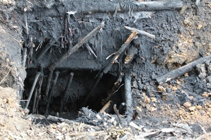 Ảnh minh họa nguồn internet Ảnh minh họa nguồn internet