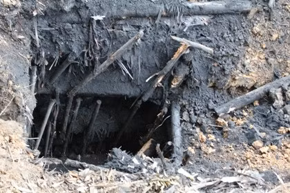 Ảnh minh họa nguồn internet