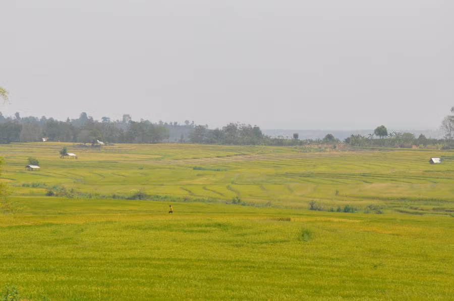 Nhìn từ xa cánh đồng bậc thang Pôi như một bức tranh tuyệt đẹp