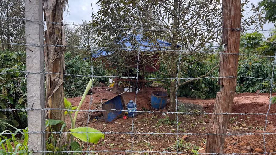 Hiện trường xảy ra vụ việc bị điện giật khiến 2 người tử vong.Ảnh: CTV