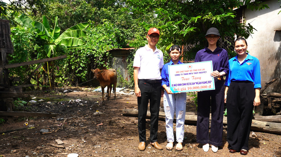 Ban tổ chức trao mô hình sinh kế “Ngân hàng Bò” cho gia đình em Rmah Sen. Ảnh: Chu Hằng trao-bo.jpg