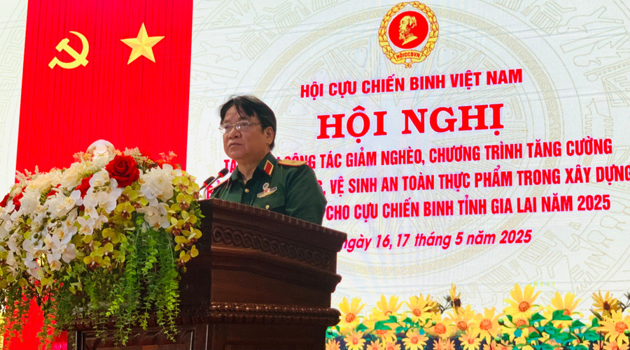 Thiếu tướng Trần Đình Hướng-Phó trưởng Ban Tuyên giáo-Phong trào Hội CCB Việt Nam phát biểu khai mạc. Ảnh: Chu Hằng 4402bb0b-f5e0-4ad6-9a6d-62deab36b4c9.jpg