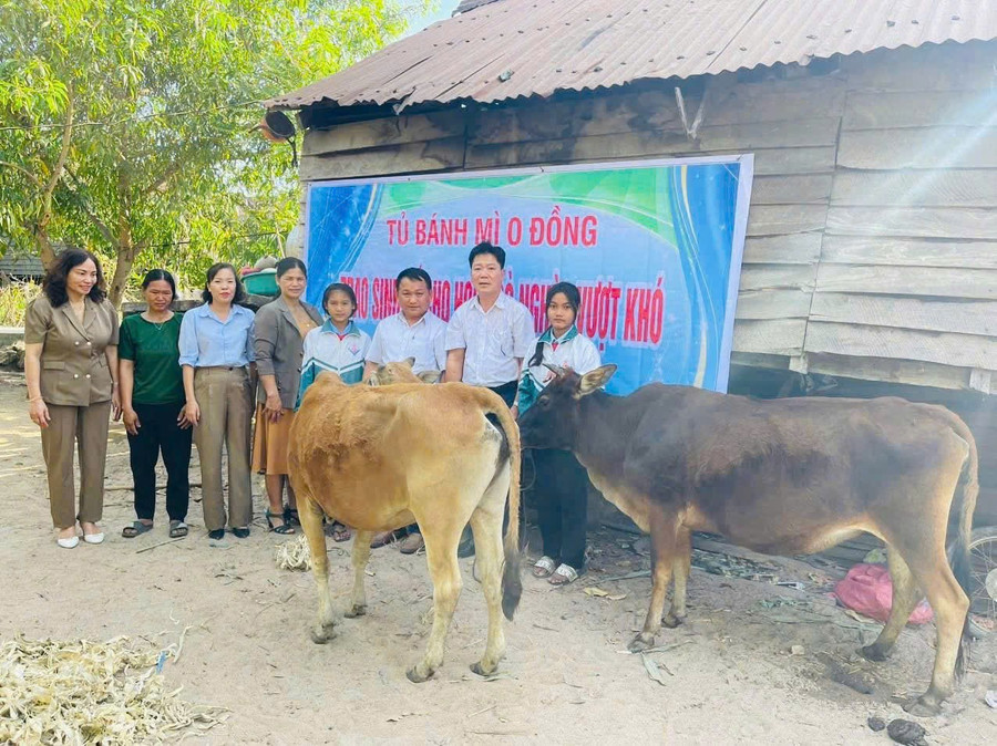 Không chỉ kêu gọi kinh phí xây nhà, thầy giáo Vũ Văn Tùng-người phụ trách Tủ bánh mì 0 đồng còn trao tặng bò giống cho học sinh khó khăn. Ảnh P.L khong-chi-keu-goi-kinh-phi-xay-nha-thay-vu-van-tung-nguoi-phu-trach-tu-banh-mi-0-dong-con-trao-tang-bo-giong-cho-hoc-sinh-kho-khan-anh-pl.jpg