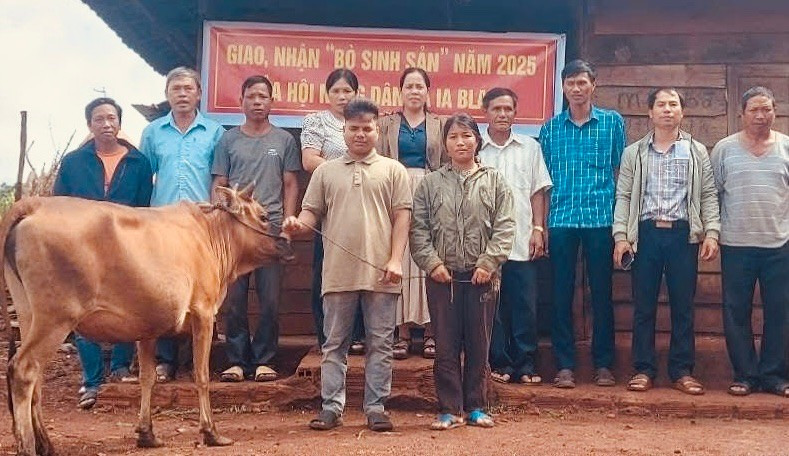 Vợ chồng anh Rah Lan Luyện (hàng đầu; làng Mung Hlú, xã Ia Blang, huyện Chư Sê) được Hội Nông dân xã Ia Blang trao bò sinh sản. Ảnh: Hoài Trương vo-chong-anh-rah-lan-luyen-hang-dau-lang-mung-hlu-duoc-hoi-nong-dan-xa-ia-blang-trao-bo-sinh-san-anh-hoai-truong.jpg