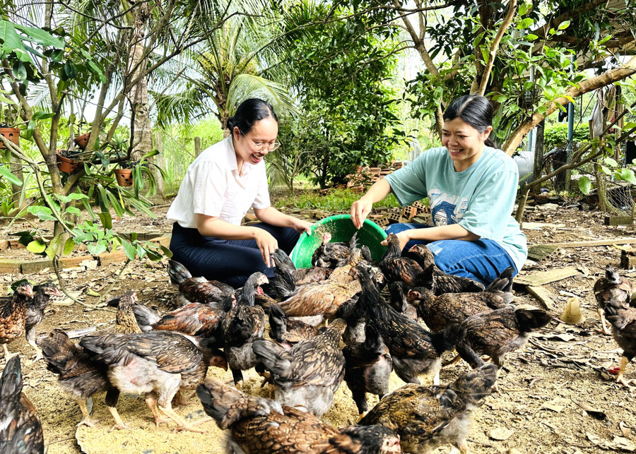 Người dân thôn Tmang Gheng (xã An Vinh) vay vốn Ngân hàng Chính sách xã hội An Lão để phát triển chăn nuôi. Ảnh: D.Đ 2-9185.jpg