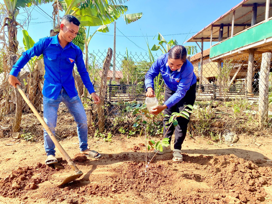 Đoàn viên thanh niên huyện Kông Chro trồng cây xanh trên địa bàn. Ảnh R.H doan-vien-thanh-nien-huyen-kong-chro-trong-cay-xanh-tren-dia-ban-anh-rh.jpg