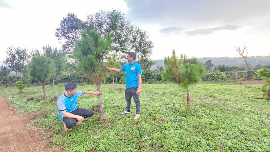 Đoàn viên thanh niên làng Blang 1 (xã Ia Dêr, huyện Ia Grai) kiểm tra cây xanh trồng tại khu vực nhà mồ của làng. Ảnh: R.P doan-vien-thanh-nien-lang-blang-1-xa-ia-der-kiem-tra-cay-xanh-duoc-trong-tai-khu-vuc-nha-mo-cua-lang-anh-rh.jpg