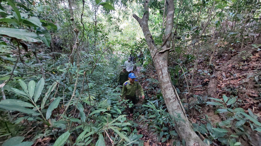 Lực lượng bảo vệ rừng chuyên trách Vườn Quốc gia Kon Ka Kinh phối hợp nhóm hộ nhận khoán cùng tuần tra rừng. Ảnh: N.D luc-luong-bao-ve-rung-chuyen-trach-vuon-quoc-gia-kon-ka-kinh-phoi-hop-nhom-ho-nhan-khoan-cung-tuan-tra.jpg