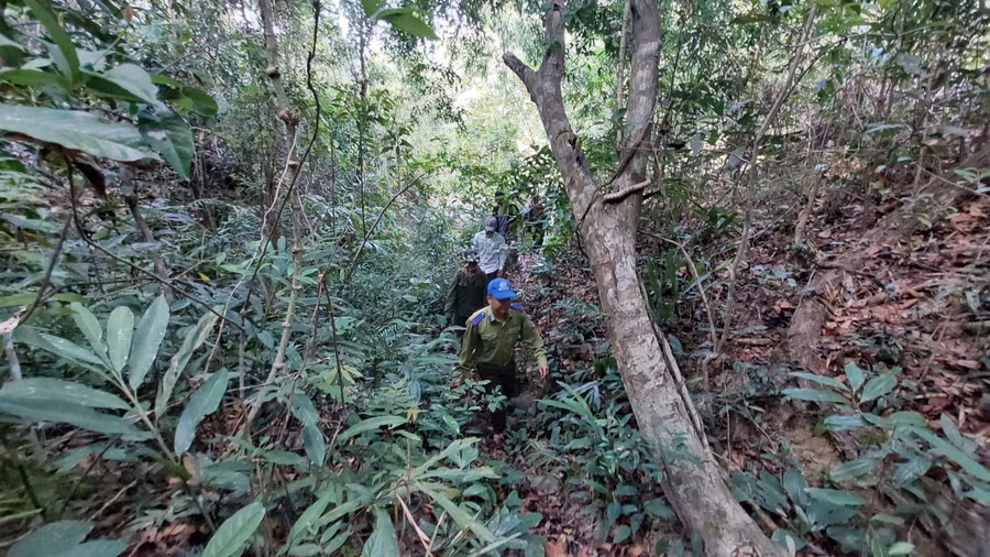 luc-luong-bao-ve-rung-chuyen-trach-vuon-quoc-gia-kon-ka-kinh-phoi-hop-nhom-ho-nhan-khoan-cung-tuan-tra.jpg