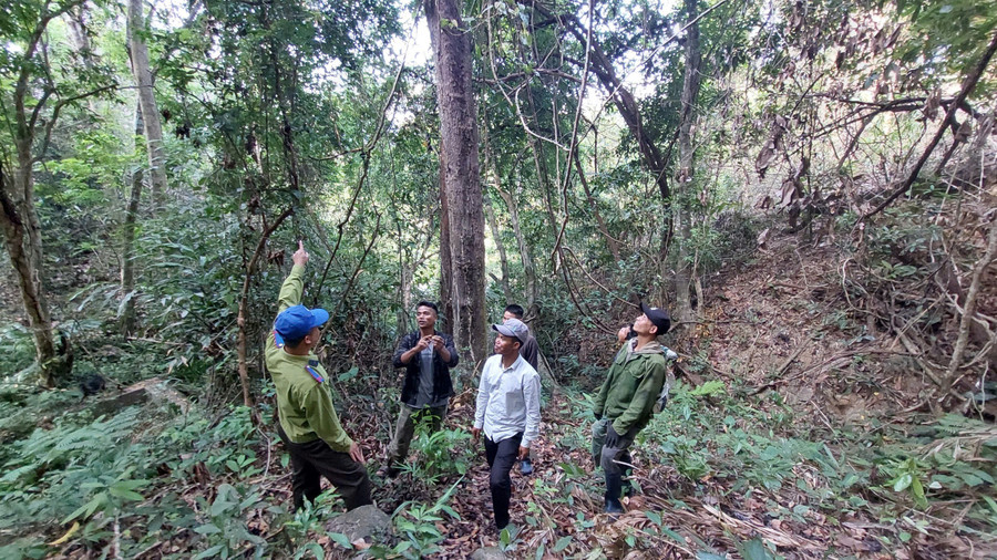 Nhóm hộ nhận khoán trao đổi thông tin về khu vực rừng quản lý, bảo vệ. Ảnh: N.D nhom-ho-nhan-khoan-trao-doi-thong-tin-khu-vuc-nhan-khoan-quan-ly-bao-ve-rung.jpg