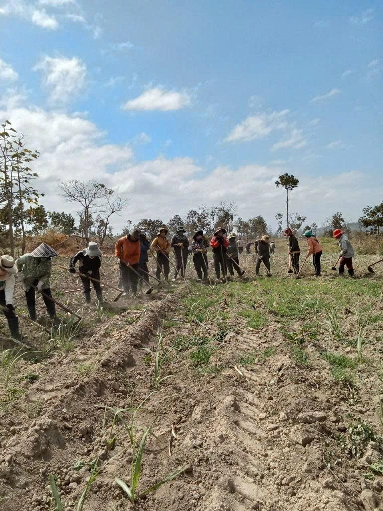 Các hội viên Chi hội Phụ nữ làng Rơng-Tnia (xã Yang Nam, huyện Kông Chro) làm rẫy tập thể để gây quỹ. Ảnh: K.T chi-hoi-phu-nu-lang-rong-tnia-xa-yang-nam-huyen-kong-chro-lam-ray-tap-the-anh-kim-thanh.jpg