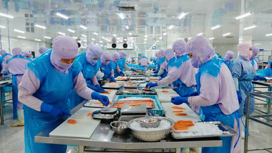 Công nhân sản xuất hàng hải sản đông lạnh xuất khẩu tại Công ty TNHH Mãi Tín Bình Định (phường Quy Nhơn Đông). Ảnh: Hải Yến 3-8581.jpg