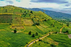 Định hình cực tăng trưởng du lịch rừng - biển