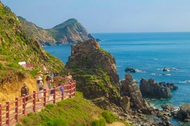 Đa dạng tour hè