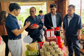 Nỗ lực phát triển thương mại địa bàn miền núi, hải đảo