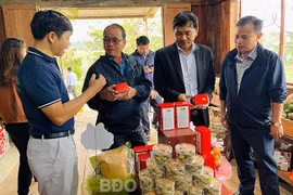 Nỗ lực phát triển thương mại địa bàn miền núi, hải đảo