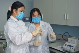 Xây dựng năng lực định danh gen bằng công nghệ DNA