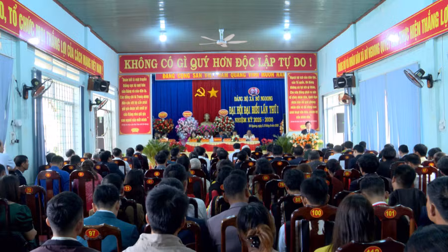 quang-canh-dai-hoi-bo-ngoong.jpg