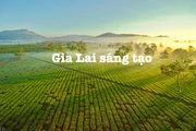 GTV online ra mắt chương trình mới Gia Lai sáng tạo