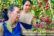 Khi phụ nữ là già làng-Kỳ cuối: “Điểm tựa của mọi điểm tựa khác”